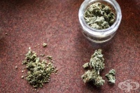 11 �������� �� ��������� ��������� �������������� �� ������ �����